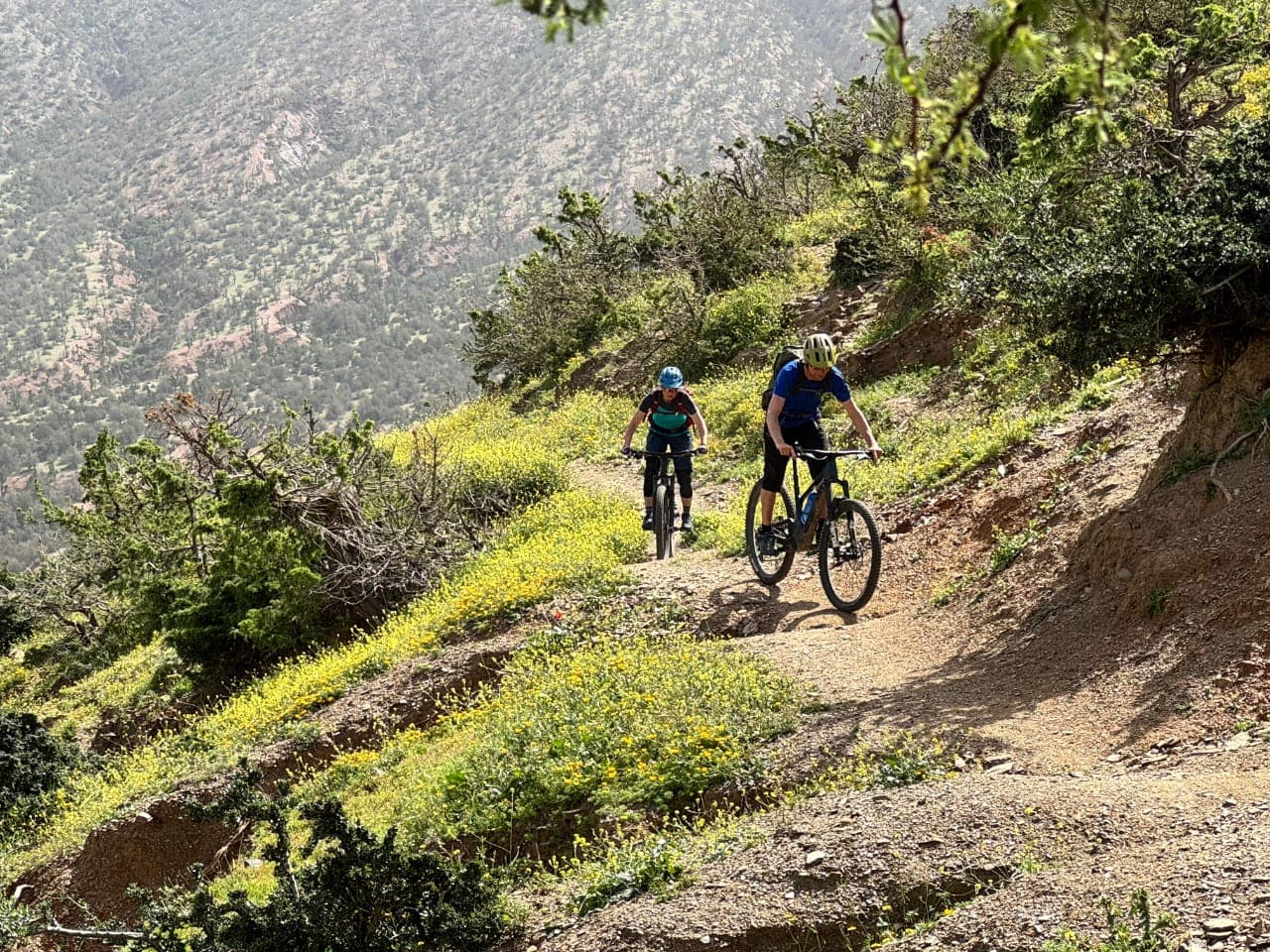 Two mountain bikers riding a singletrack